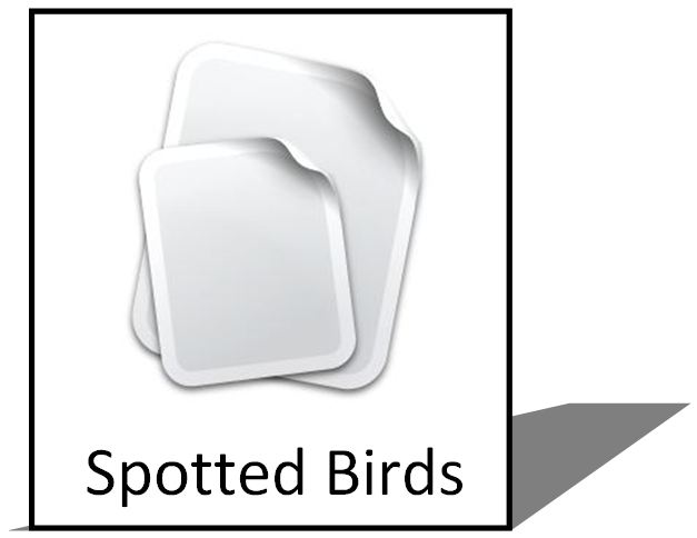 Spotted Birds Icon